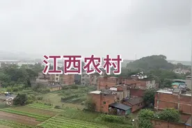 从南昌西站坐高铁去武汉，路过江西的农村视频封面