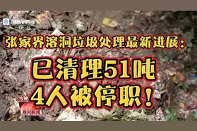 张家界溶洞垃圾处理最新进展：已清理51吨，4人被停职！
