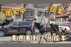 今天去南开大学参观结果因为没有预约被拦在了门外只好去周围景点视频封面