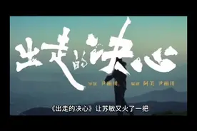 《出走的决心》让苏敏又火了一把，可转眼她就被攻击了…视频封面