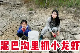 又到了抓小龙虾的季节，跑了三个秘密基地，一个比一个坑视频封面