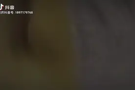 快乐摇摆视频封面