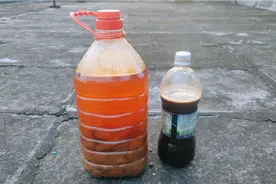 红糖酵母液哪种方法制作的较好？如何使用？试试这个，生根又壮苗