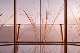 各种机顶盒打开ADB方法汇总，不看你就后悔了！