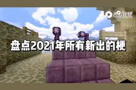 盘点2021年所有新出的梗（没有的话，可以在评论区下补充）视频封面