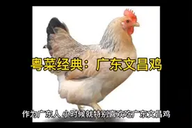 粤菜经典广东文昌鸡做法视频封面