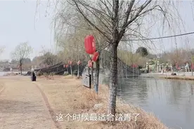 春天的武汉很美，到处花开，来武汉一日游也很充实惬意视频封面