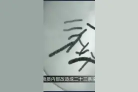 受精卵产生全过程