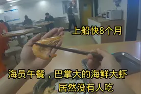 上船了8个月了，最真实海员工作餐，吃不完根本吃不完视频封面