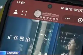 央视曝博物馆0元票被黄牛刷票倒卖 来源：法治网视频封面