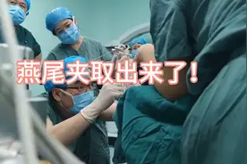 燕尾夹取出来了