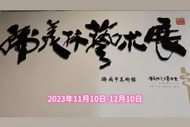 韩美林艺术展——济南人难忘的文化盛宴视频封面