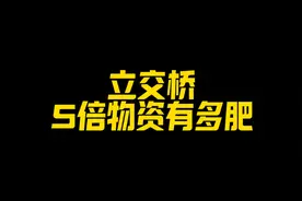 #逃离塔科夫 五倍物资的立交桥武器房有多肥？视频封面