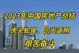 2023年中国房地产总结：虎头蛇尾，回光返照，苦苦挣扎视频封面