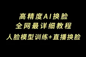 高精度AI换脸，全网最详细教程。人脸模型训练+直播换脸