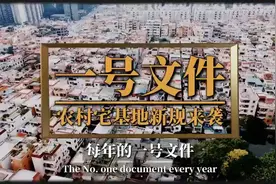 2025一号文件，宅基地新规大揭秘！
