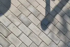 看看老台东镇的杨家村