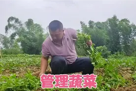 今年豆子种的多，儿子想给母亲买个豆浆机打豆浆喝，母亲却不乐意