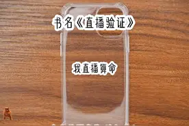 书名：直播验证（后续在番茄小说）