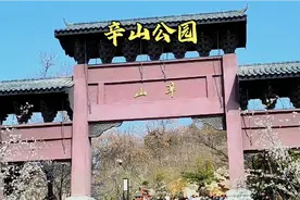 徐州辛山公园浪漫樱花最佳观赏季已至，公园免费门票，免费停车！