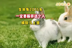 2025年生肖兔的运势预测，一定要躲开这个人，财运马上到！