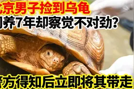 北京男子捡到乌龟，饲养7年却察觉不对劲？警方得知后立即将其带视频封面