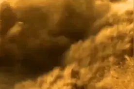 《保卫黄河》，光未然作词，冼星海作曲，雷声网络合唱团演唱。