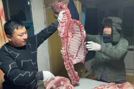 90后农村小伙，凌晨3点开三轮车到屠宰场拉猪，朋友早早过来帮忙视频封面