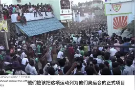 印度牛粪节牛粪满天飞引起外国网友热议，印度网友:你们这是嫉妒视频封面