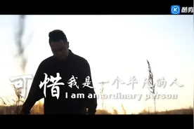 可惜是我是一个平凡的人