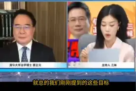 蔡正元解读2025年经济目标：GDP增5%是巨大挑战视频封面