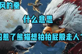听风的蚕：什么意思，招惹了熊猫想拍拍屁股走人？视频封面