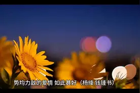 相逢何必曾相识，相识只因月老知。