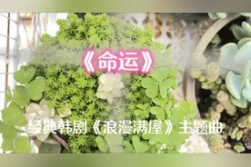 超好听韩语情感歌曲《命运》 经典韩剧《浪漫满屋》主题曲