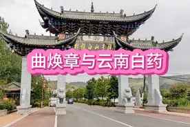 云南白药既是民族工业又是民族医药的瑰宝，一定要把它弘扬好。视频封面
