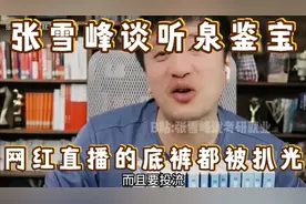 张雪峰谈听泉鉴宝视频封面