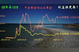 03年同时买入中金黄金和山东黄金，收益复投，差别想不到！视频封面