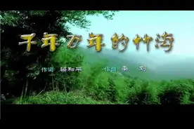 蔡伦竹海面积广阔连片竹林面积达16万亩是我国连片面积最大的竹海视频封面