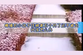 嫁在隔壁村的小姑子在娘家和我们住了五个月不肯走，我该怎么办？视频封面