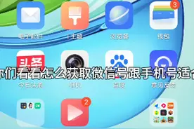 我来教你们怎么获取手机号跟微信号视频封面