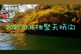多年后的今天，还是会怀念青春。