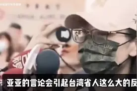 亚亚已回大陆，台湾已无统派视频封面