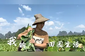 小九感觉跟老谭已经很生疏，两人没啥共同话题，只是客套寒暄几句视频封面