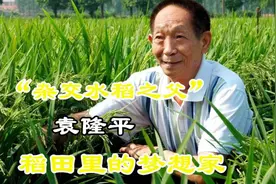 袁隆平，稻田里的梦想家，一生致力于杂交水稻的研究！#袁隆平视频封面
