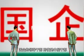 省属国企二级集团总部中层正职与三级单位副总如何选择？