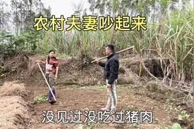 黑妹脾气越来越怪了，无缘无故就生气，不工作饭都不给吃我视频封面