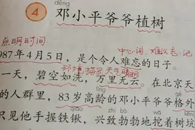 二年级语文下第四课（邓小平爷爷植树）课文讲解  快乐学习视频封面