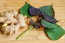 紫苏搭配生姜，作用实在厉害，98岁奶奶的土方法，既省钱又实用