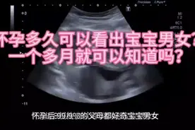 怀孕多久可以看出宝宝♂♀？视频封面