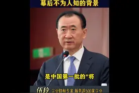 中国企业家幕后，不为人知的背景真相#老板#商业思维#财税视频封面